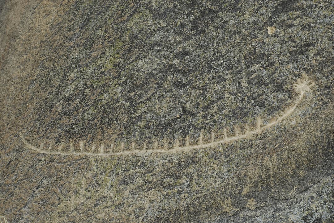 Qobustan qayaüstü təsvirlərindən biri: avarçəkənli uzun qayıq