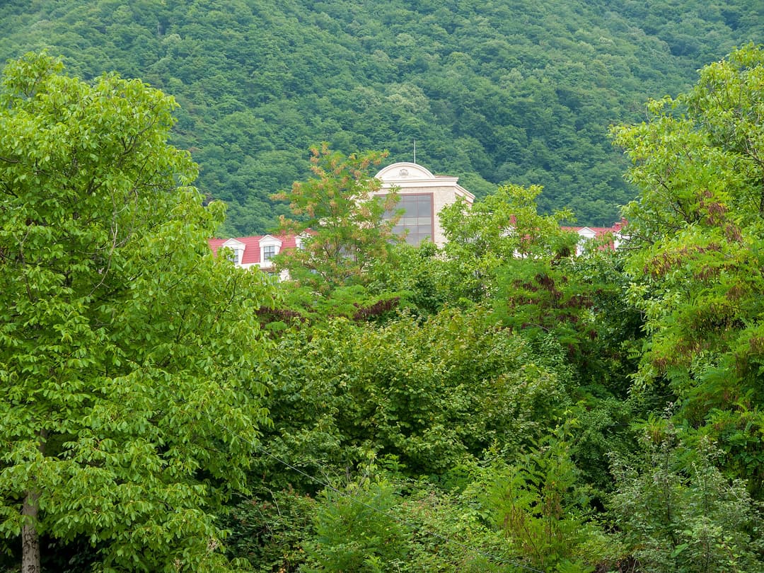 Kiş kəndi tərəfdə meşənin içində Marxal Resort-un binaları