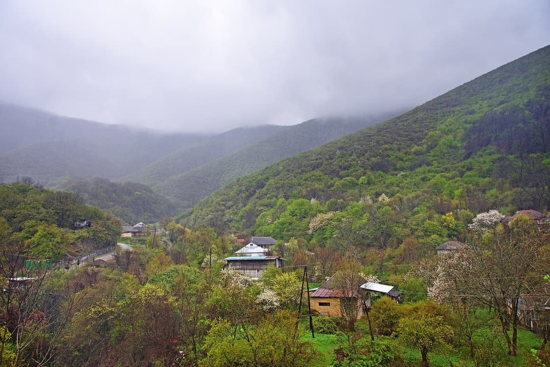 Şəki şəhərinin meşəli dağların ətəyindən görünüşü
