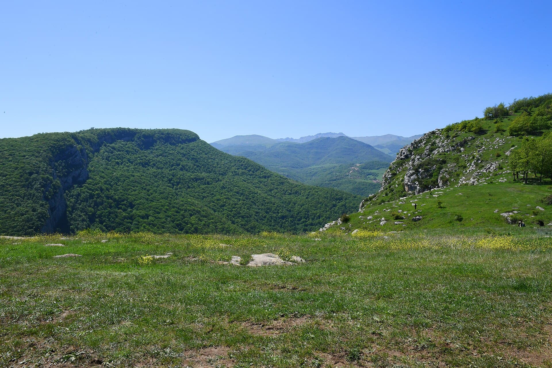 Cıdır düzü, Şuşa, 2021