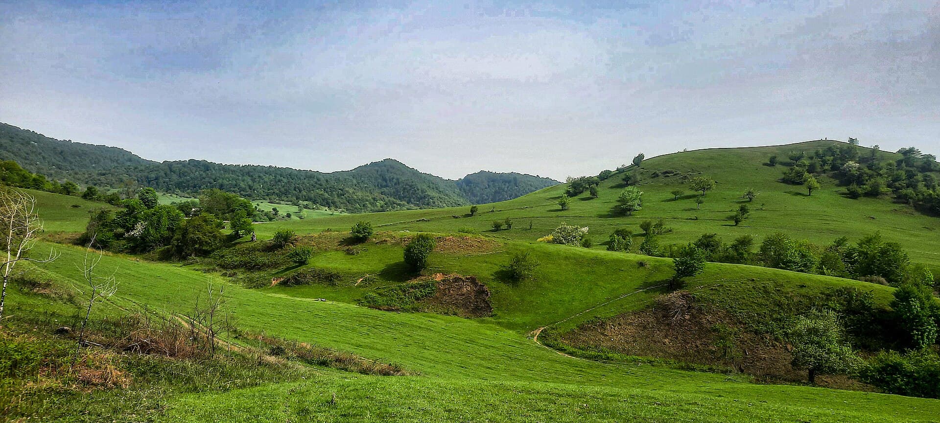 İsmayıllı rayonunda yaşıl təpələr və meşələr